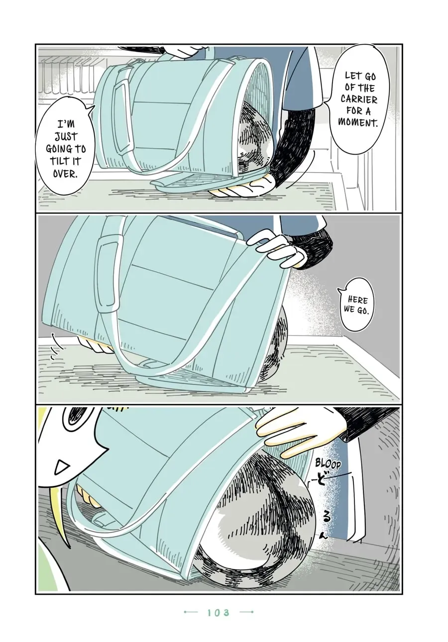 Nights With a Cat Chapter 128 page 8 - 