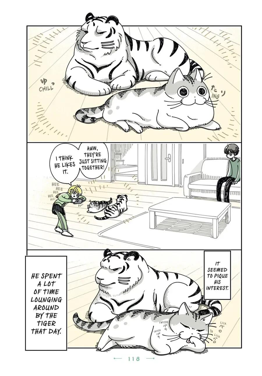 Nights With a Cat Chapter 129 page 5 - 