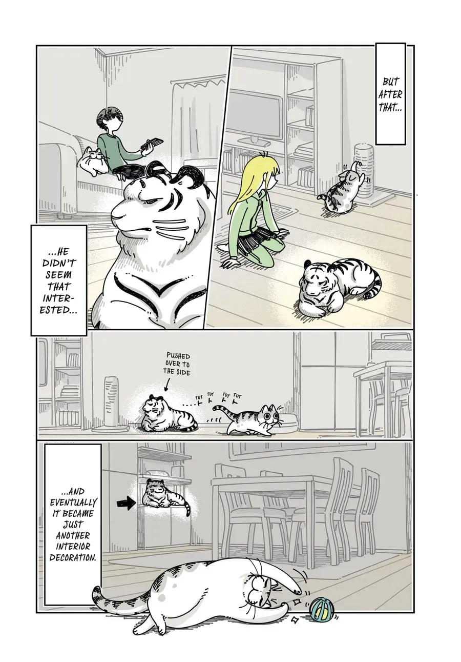 Nights With a Cat Chapter 129 page 6 - 