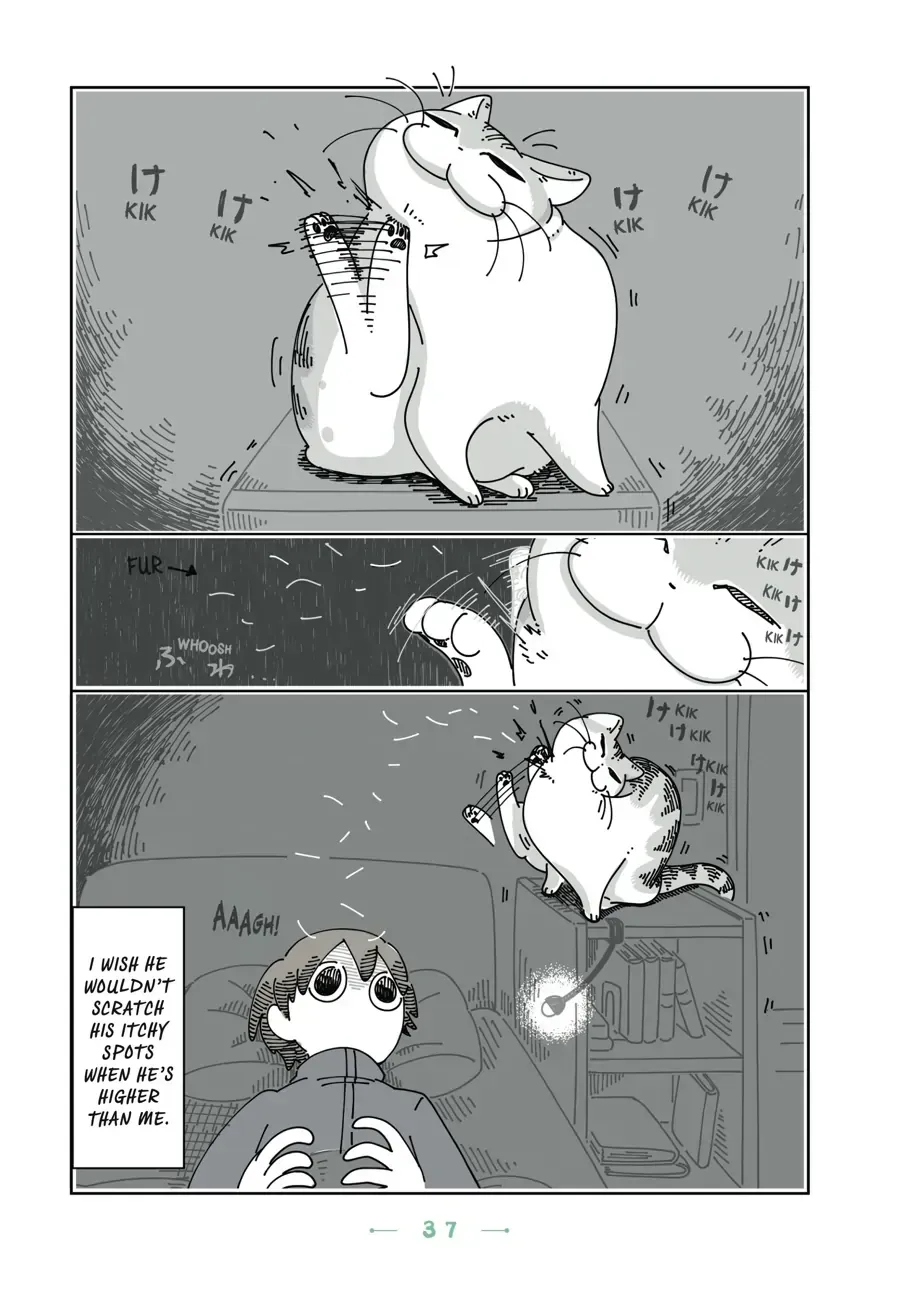 Nights With a Cat Chapter 13.2 page 1 - 