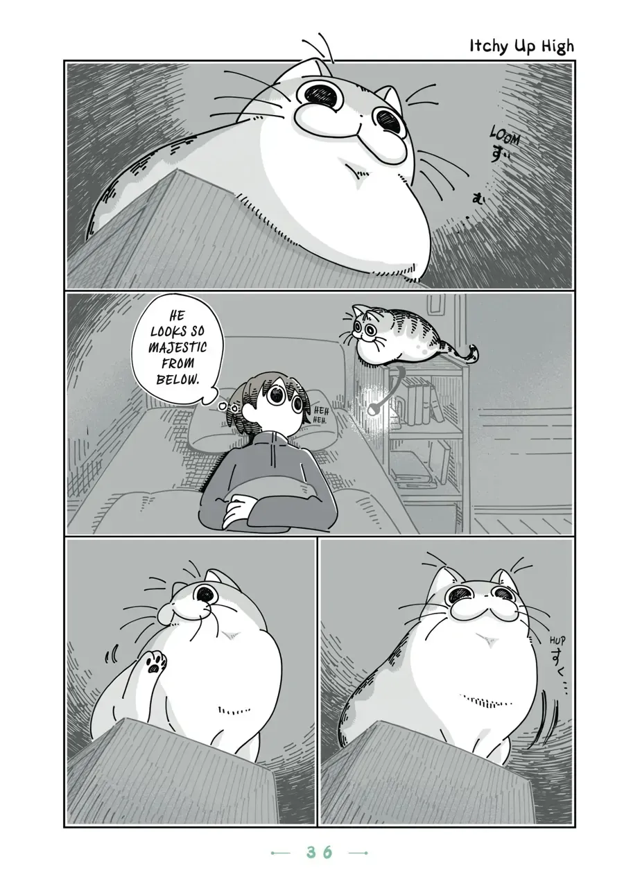 Nights With a Cat Chapter 13.2 page 2 - 