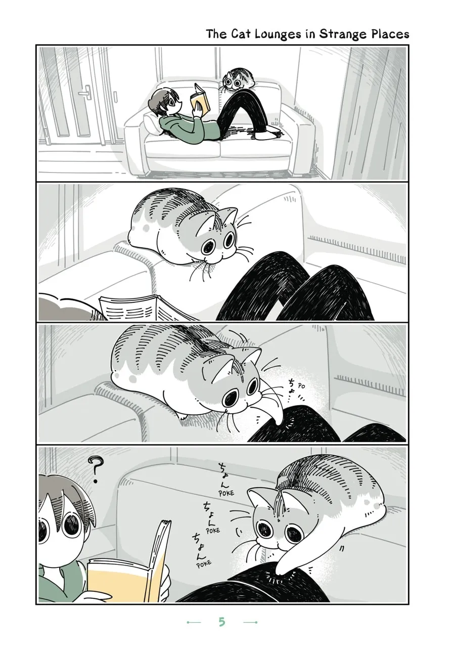 Nights With a Cat Chapter 13 page 1 - 