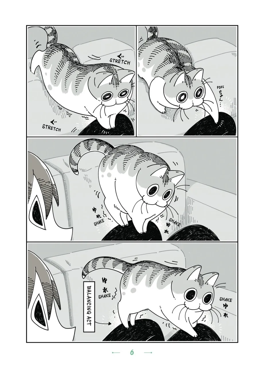 Nights With a Cat Chapter 13 page 2 - 