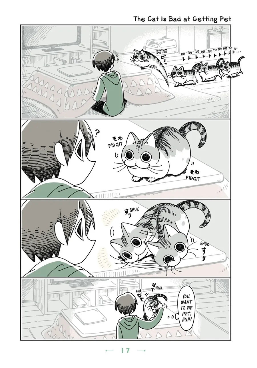 Nights With a Cat Chapter 13 page 13 - 