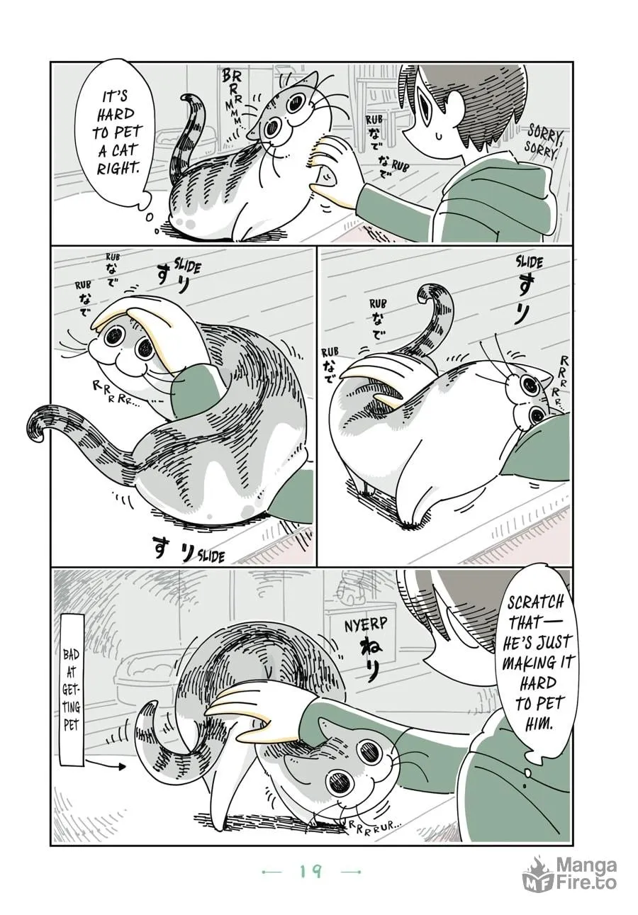 Nights With a Cat Chapter 13 page 15 - 