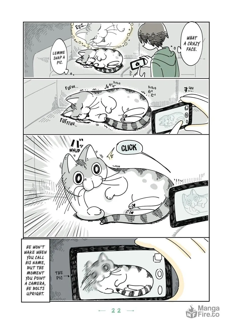 Nights With a Cat Chapter 13 page 18 - 