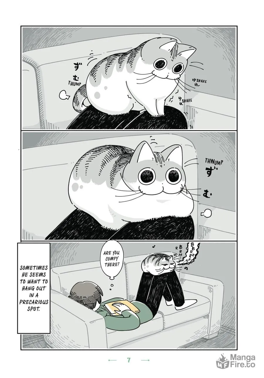 Nights With a Cat Chapter 13 page 3 - 