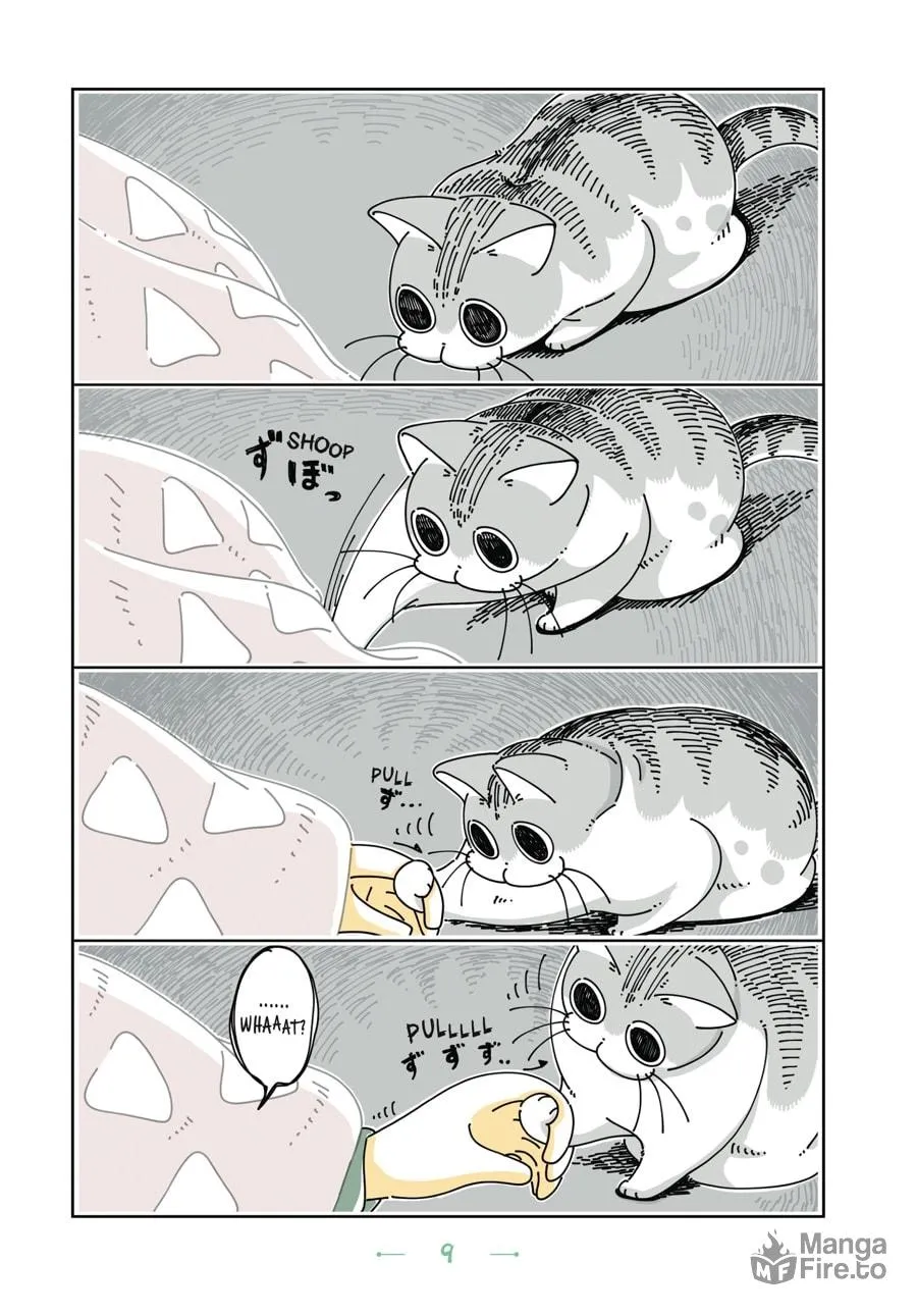Nights With a Cat Chapter 13 page 5 - 