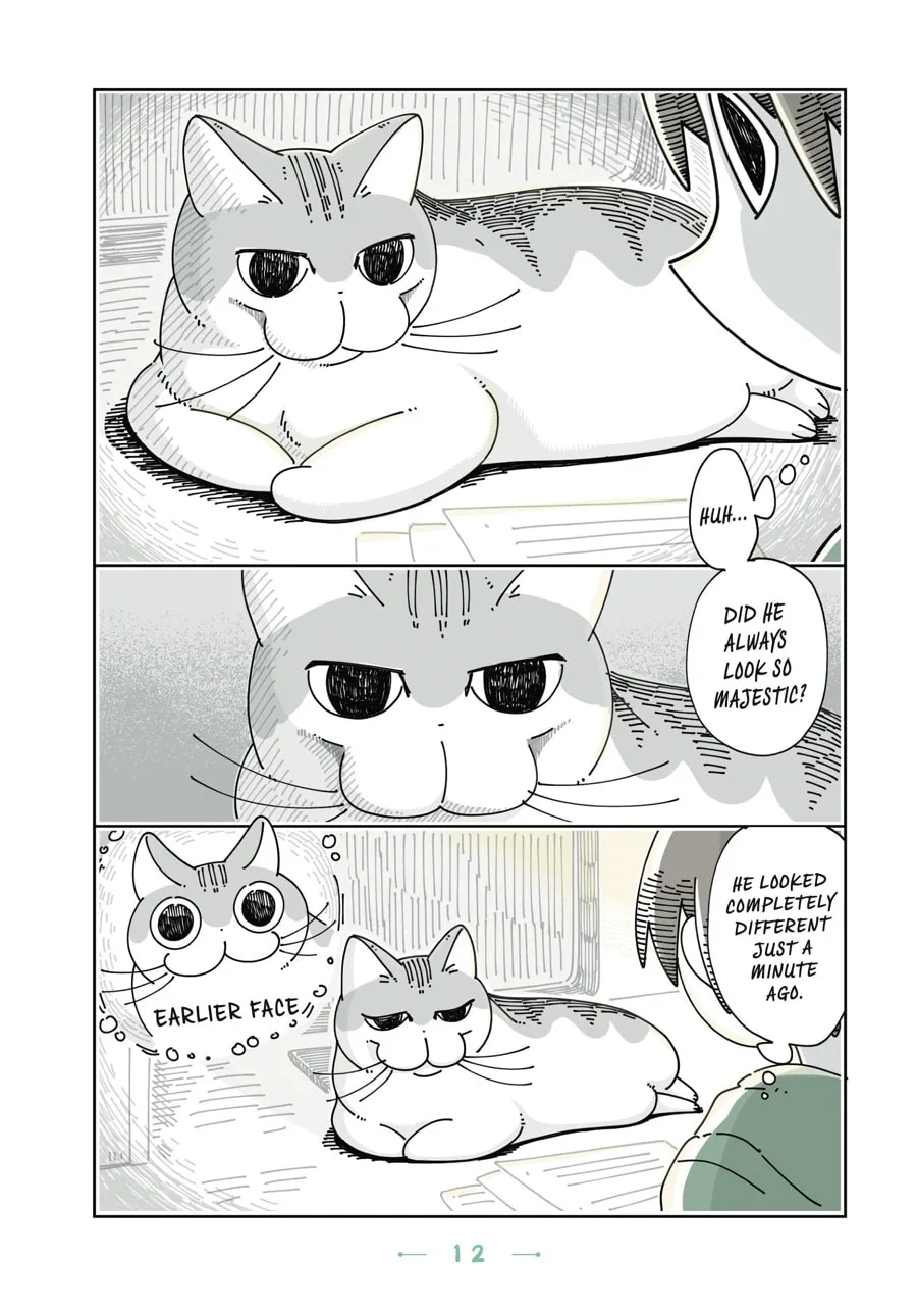 Nights With a Cat Chapter 13 page 8 - 