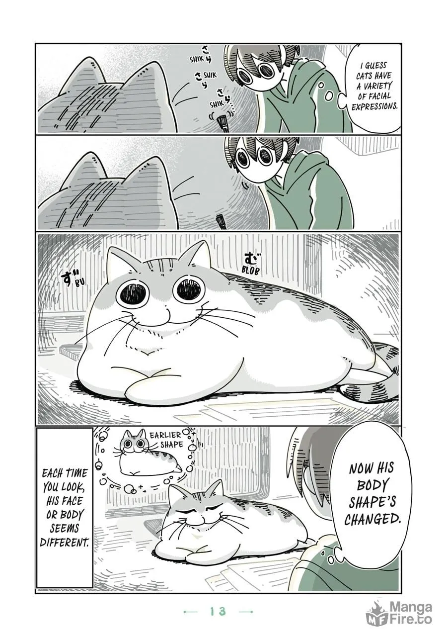 Nights With a Cat Chapter 13 page 9 - 