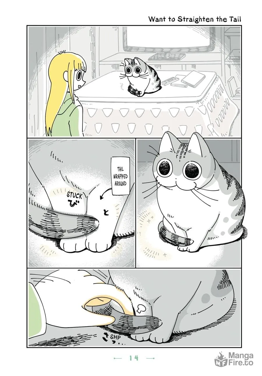 Nights With a Cat Chapter 13 page 10 - 
