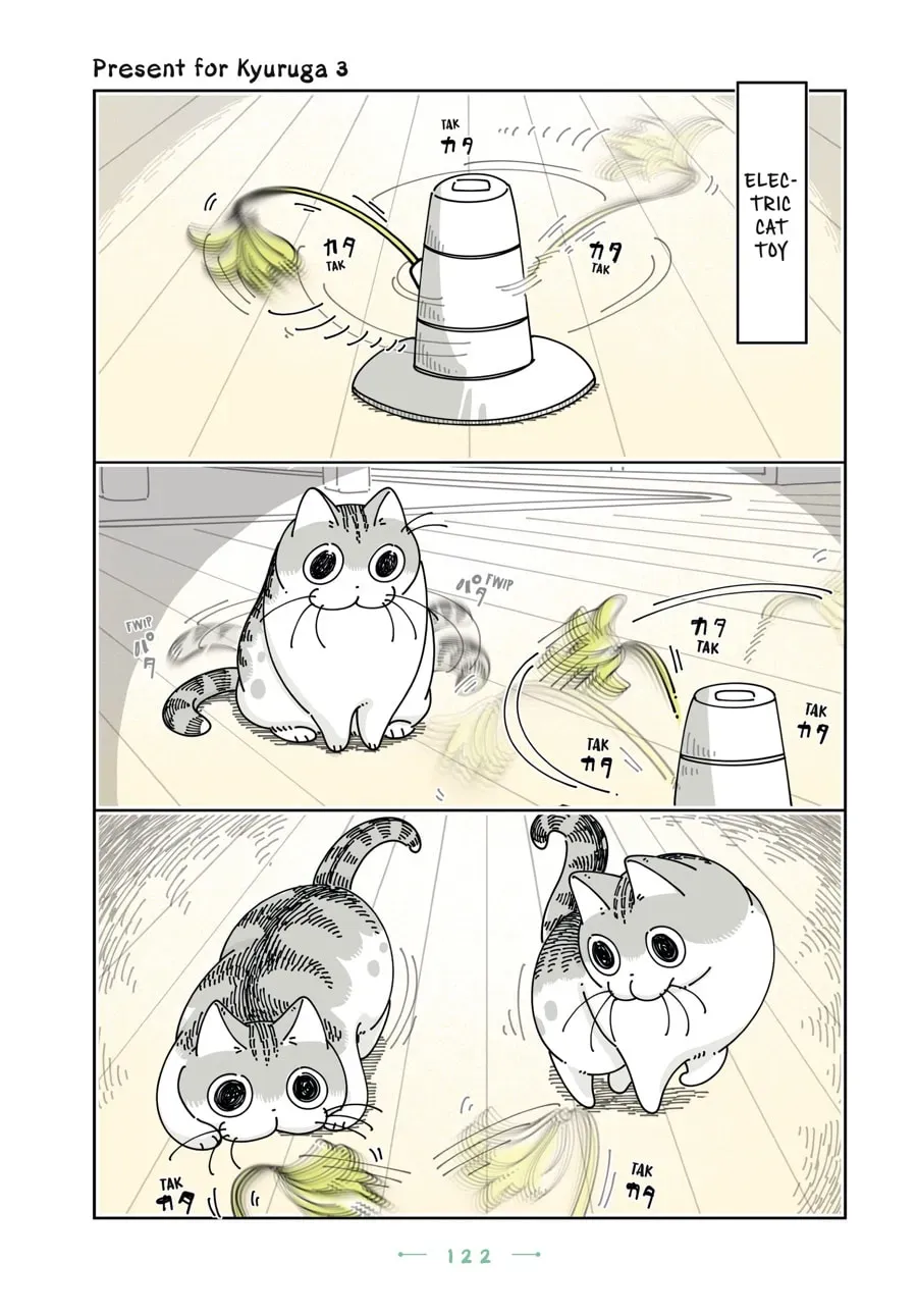 Nights With a Cat Chapter 131 page 1 - 
