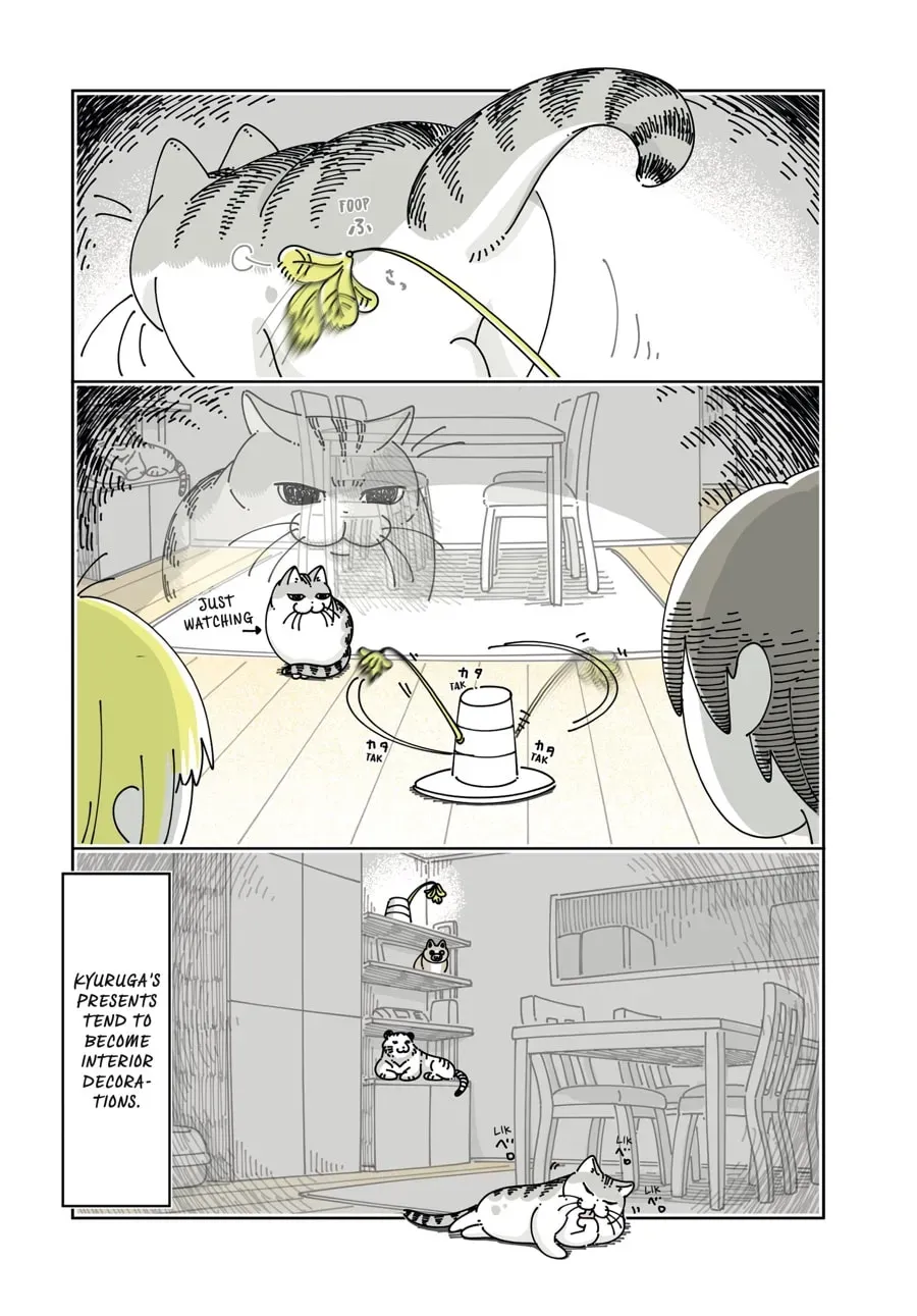 Nights With a Cat Chapter 131 page 4 - 