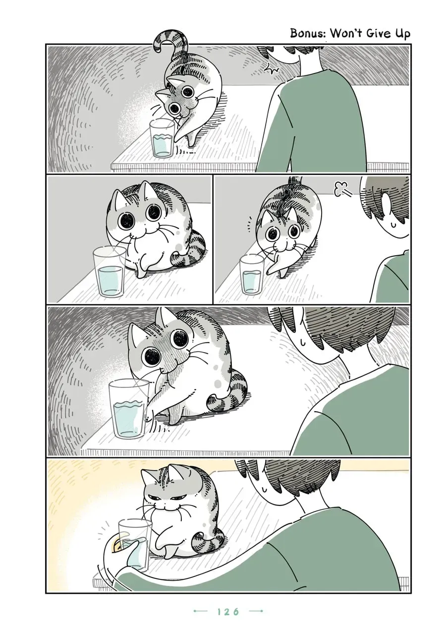 Nights With a Cat Chapter 131 page 5 - 