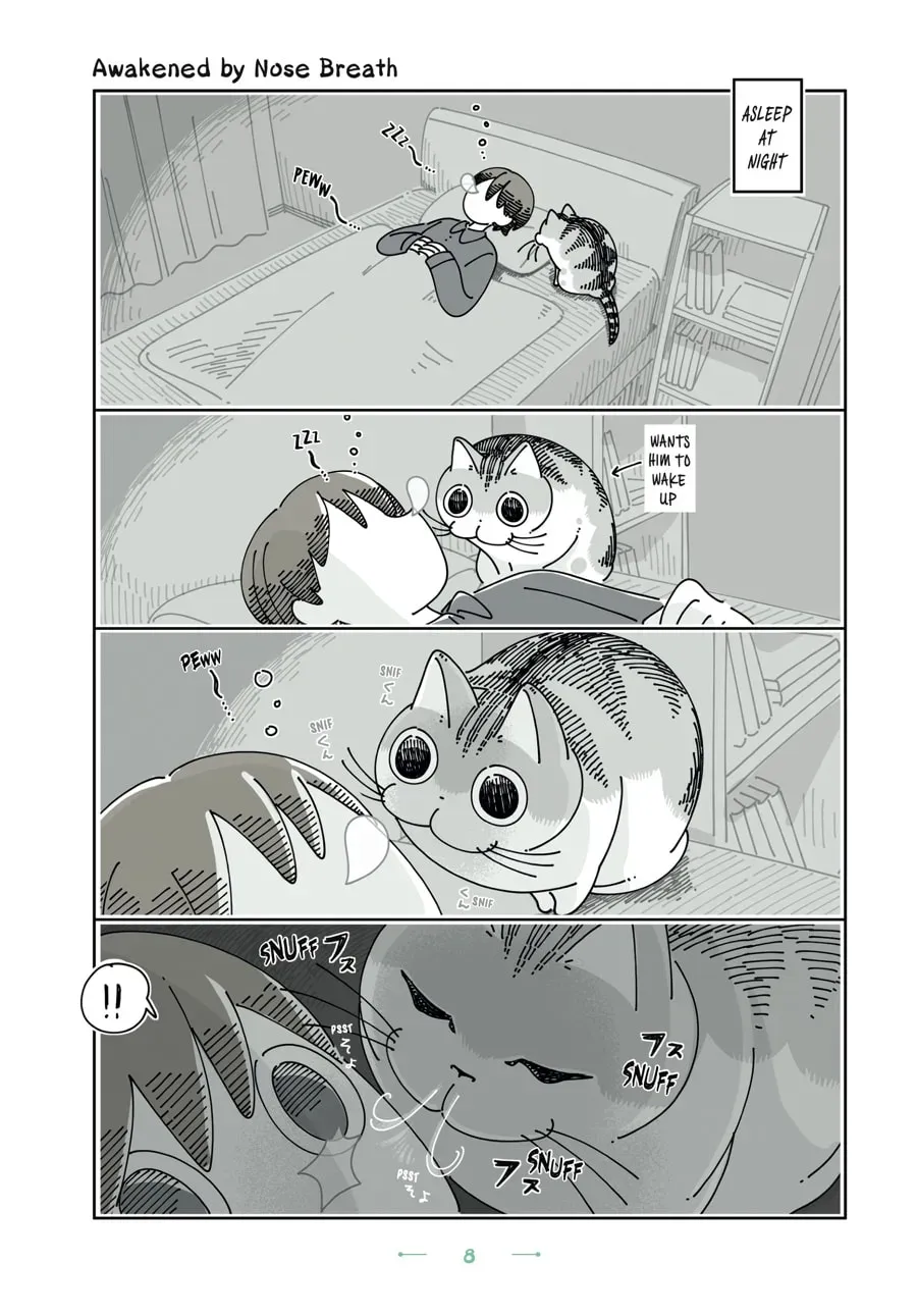 Nights With a Cat Chapter 132 page 1 - 