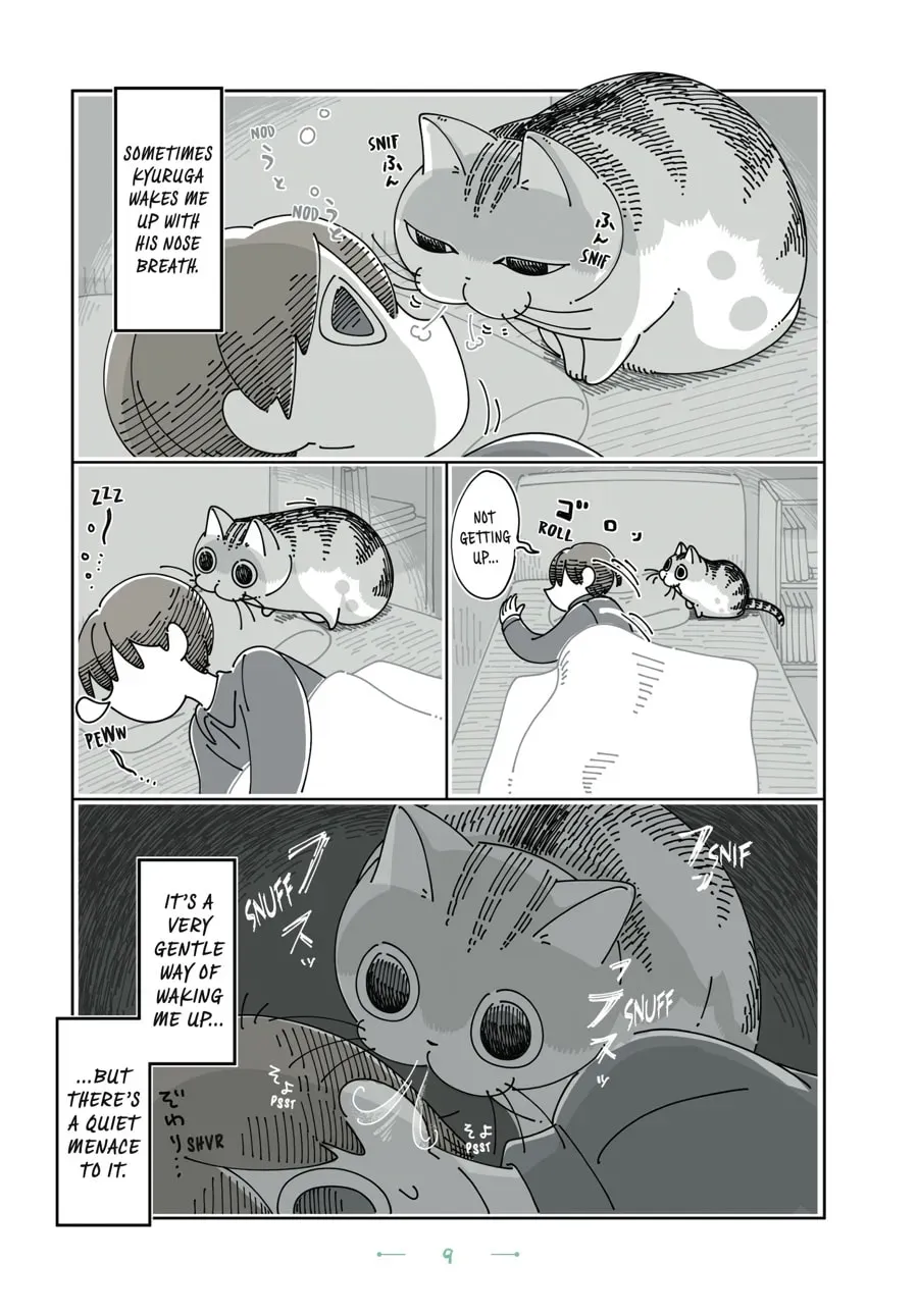 Nights With a Cat Chapter 132 page 2 - 