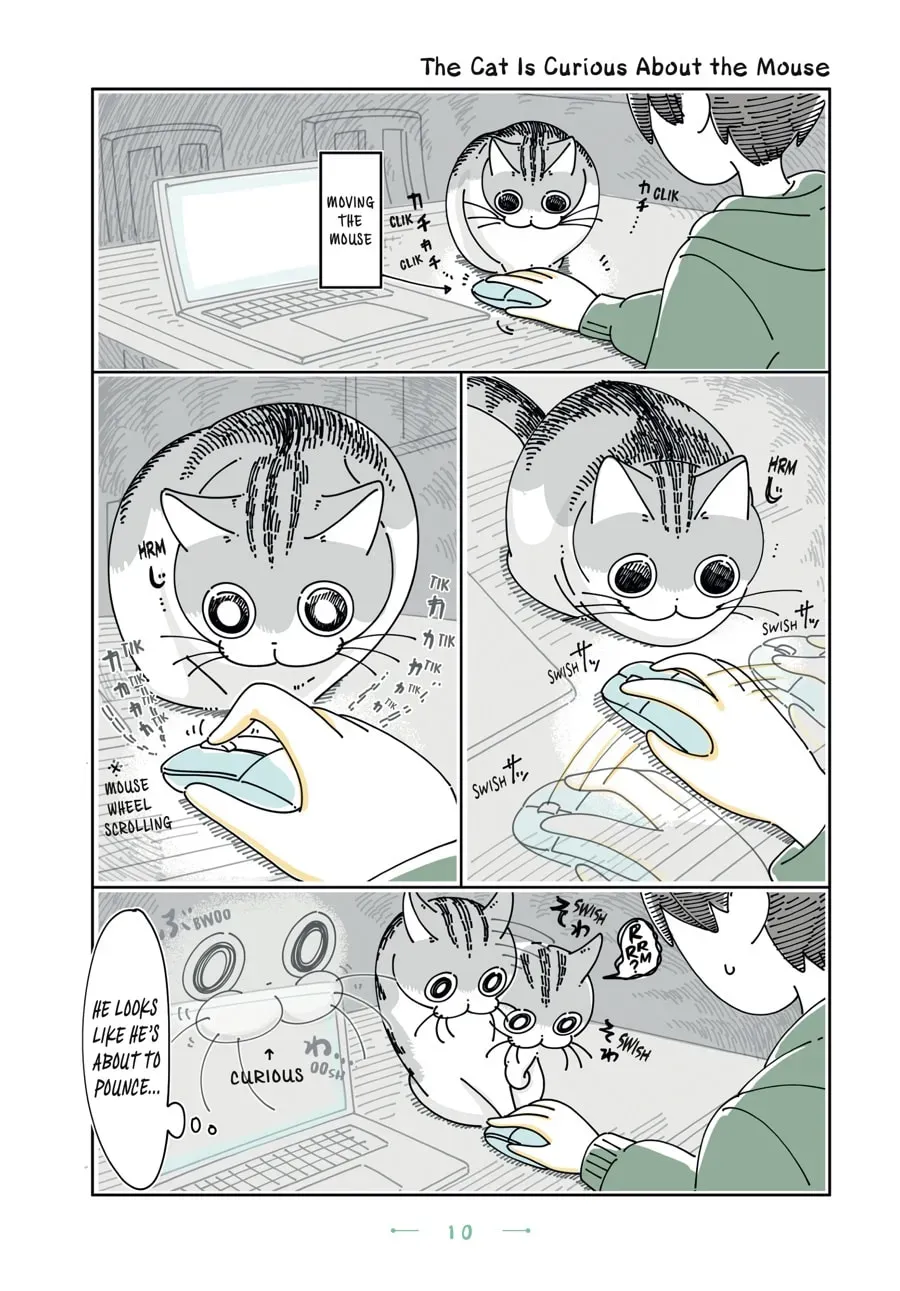 Nights With a Cat Chapter 133 page 1 - 