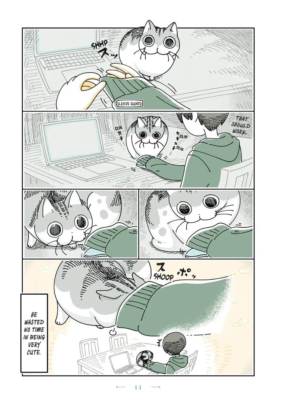 Nights With a Cat Chapter 133 page 2 - 