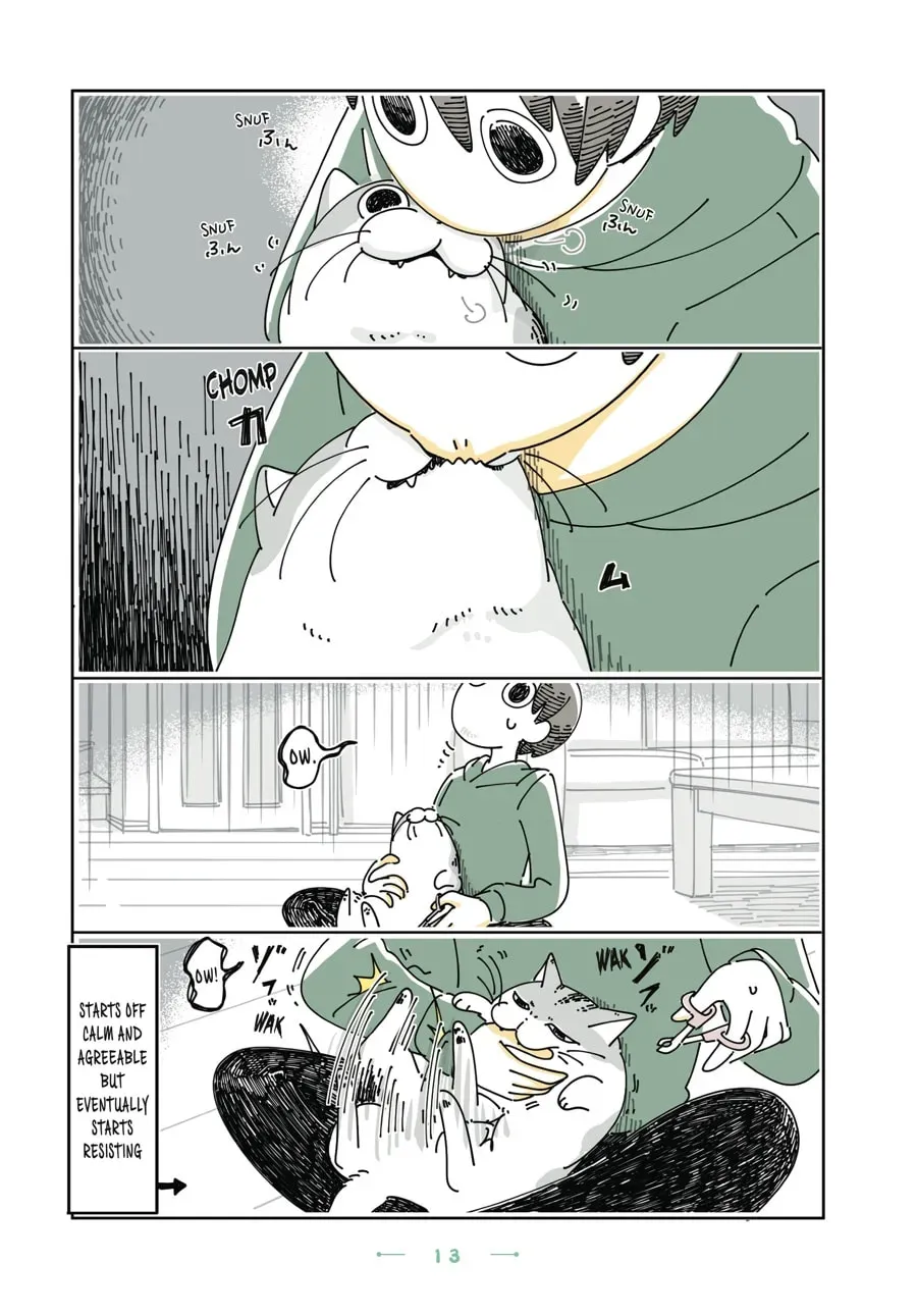 Nights With a Cat Chapter 134 page 2 - 