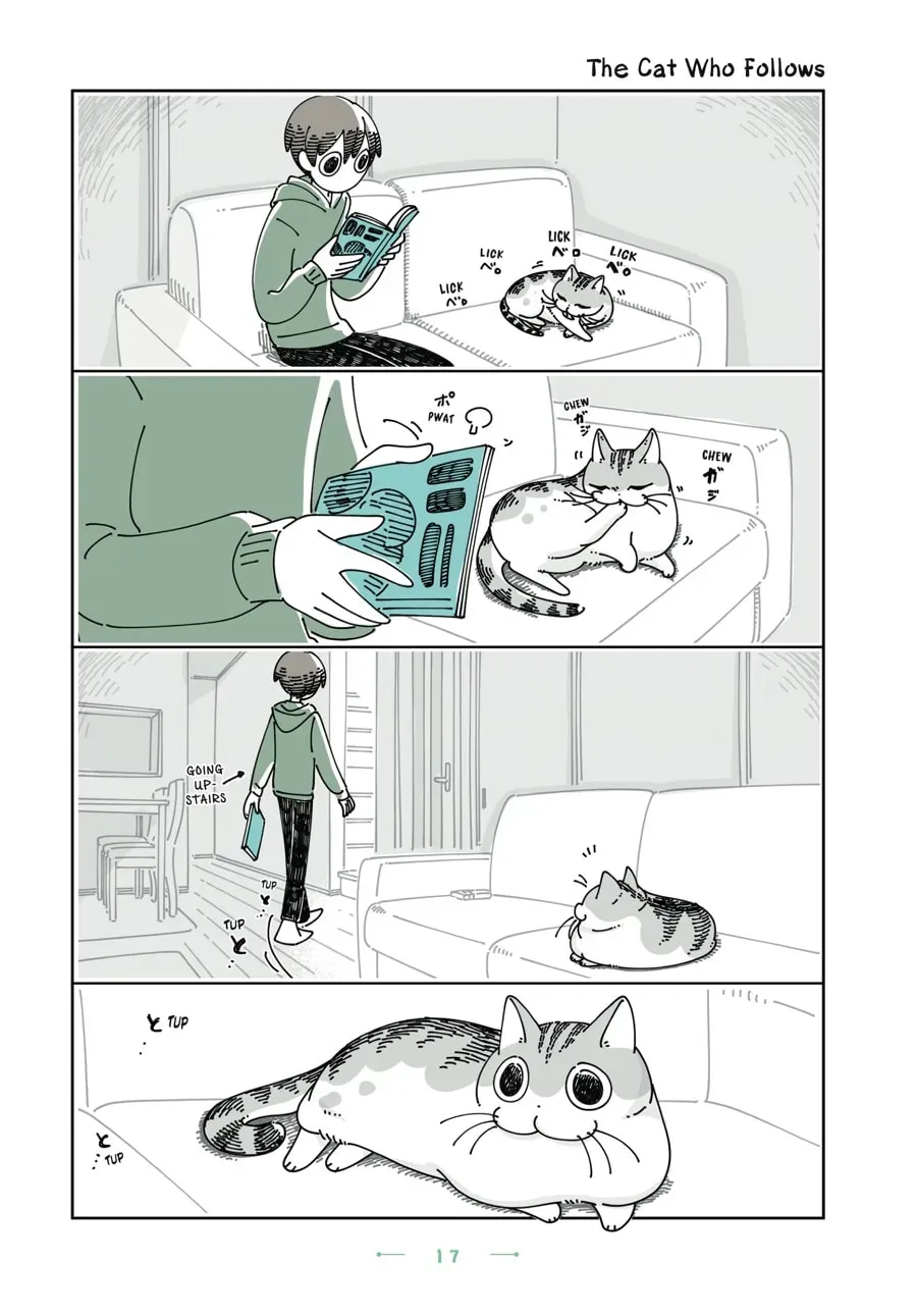 Nights With a Cat Chapter 136 page 1 - 