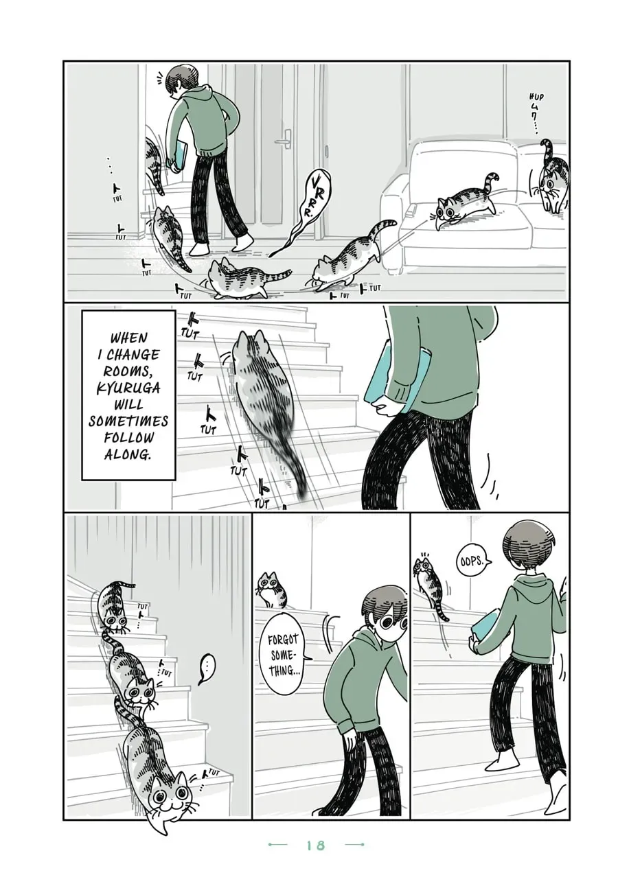 Nights With a Cat Chapter 136 page 2 - 