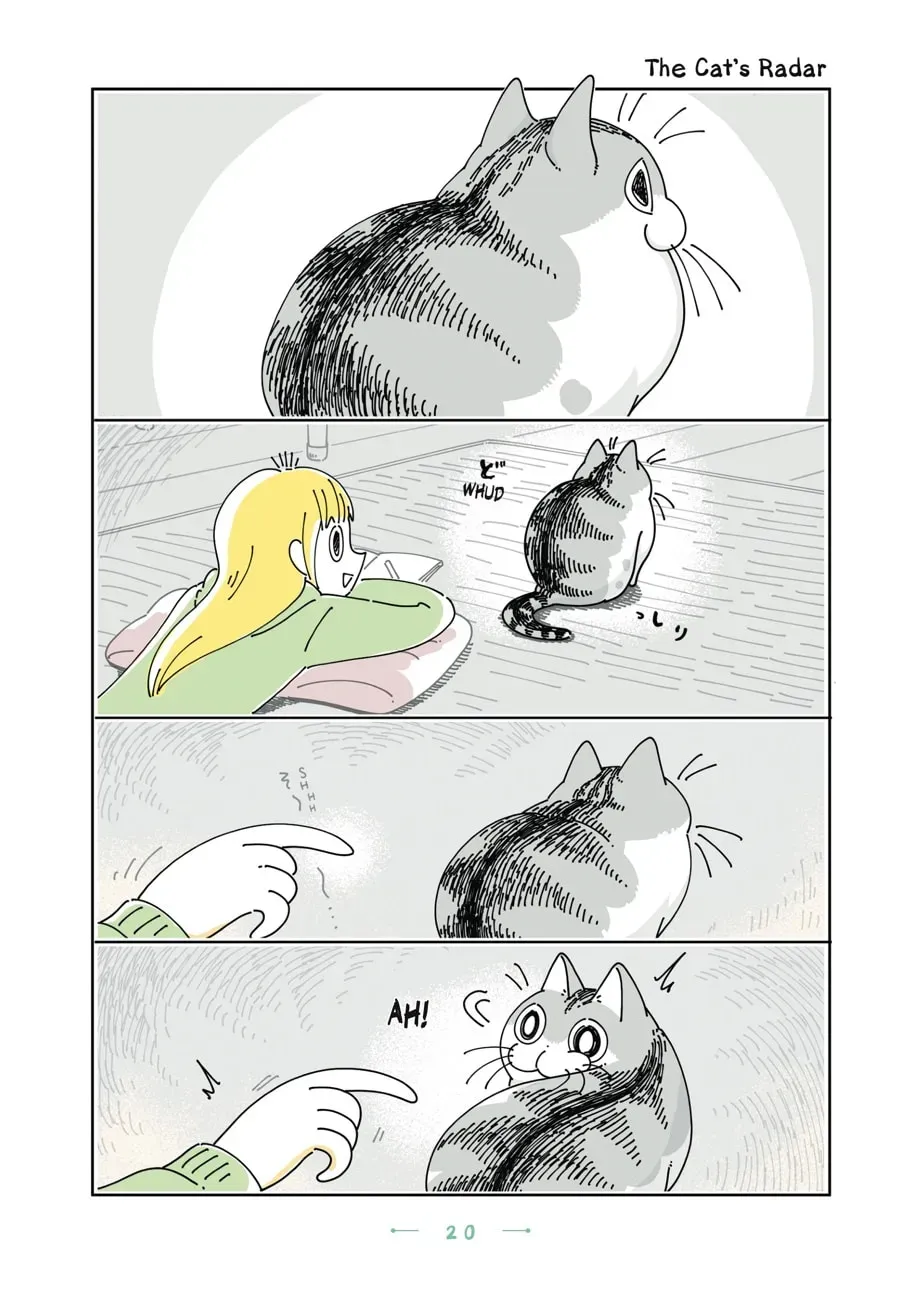 Nights With a Cat Chapter 137 page 1 - 