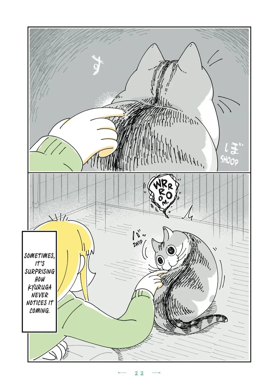 Nights With a Cat Chapter 137 page 3 - 