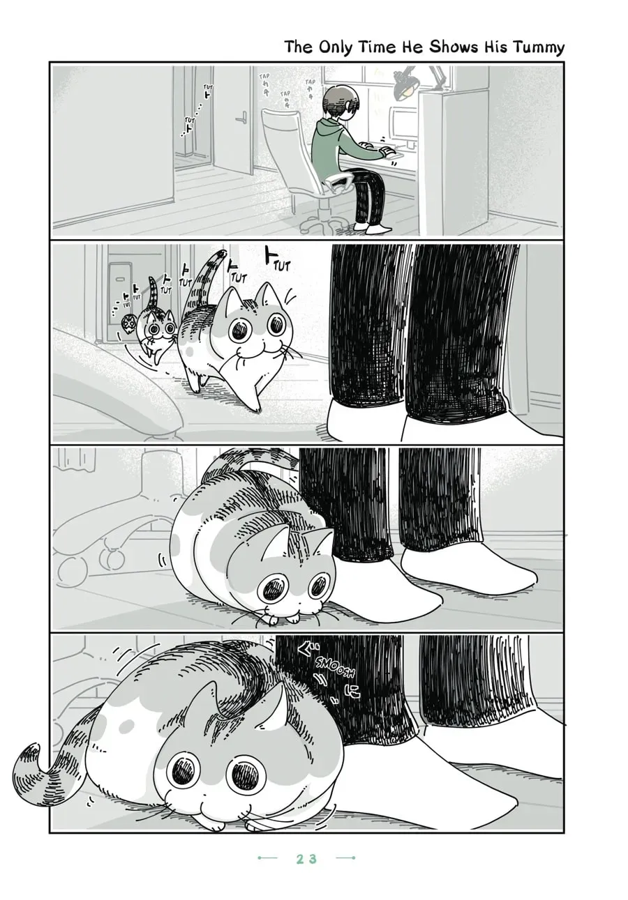 Nights With a Cat Chapter 138 page 1 - 