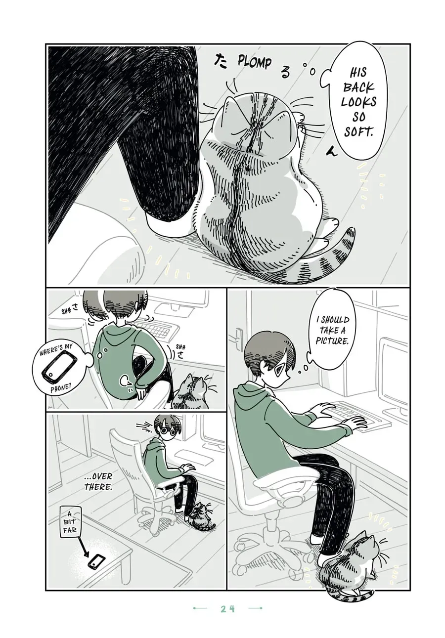 Nights With a Cat Chapter 138 page 2 - 