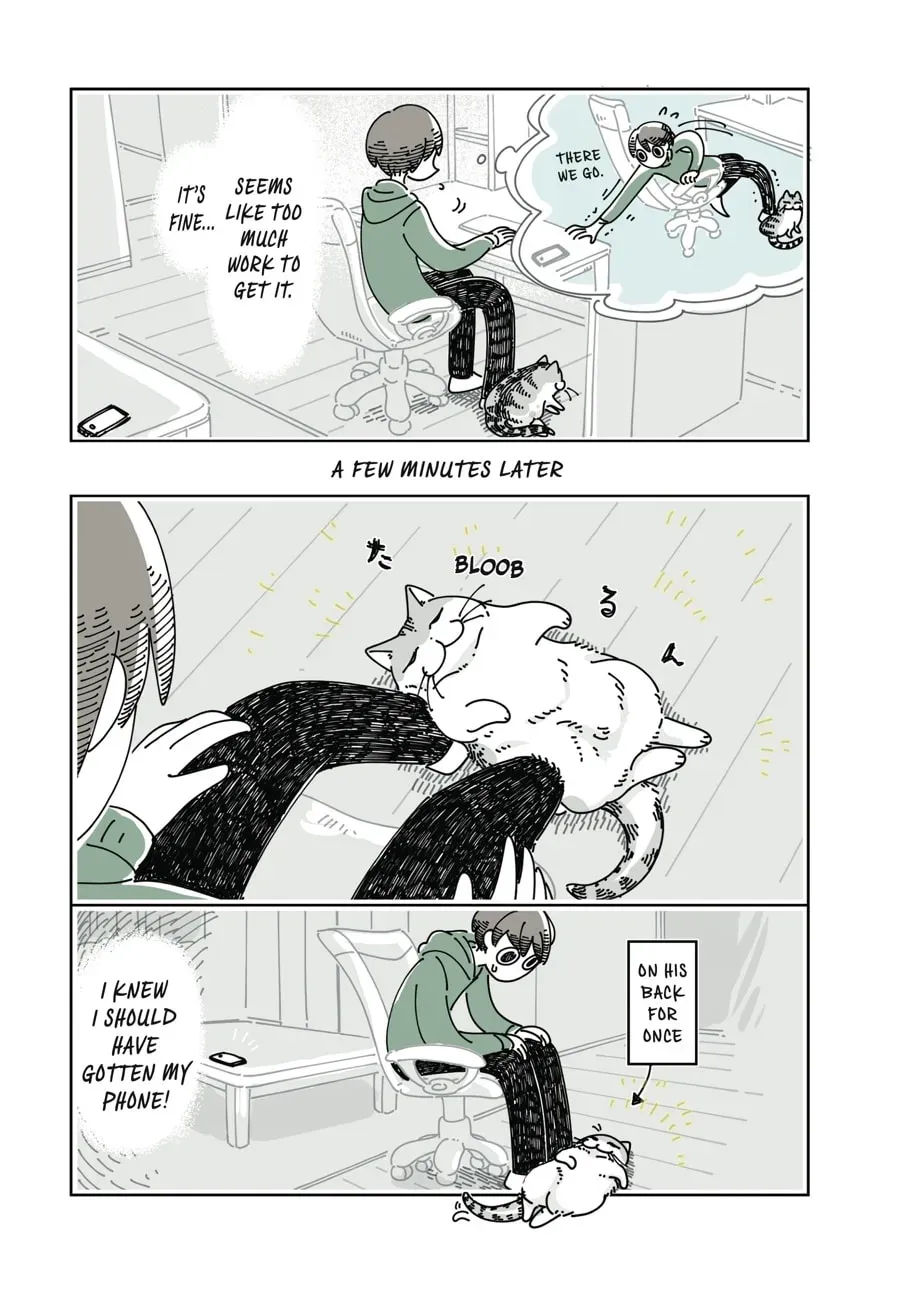 Nights With a Cat Chapter 138 page 3 - 