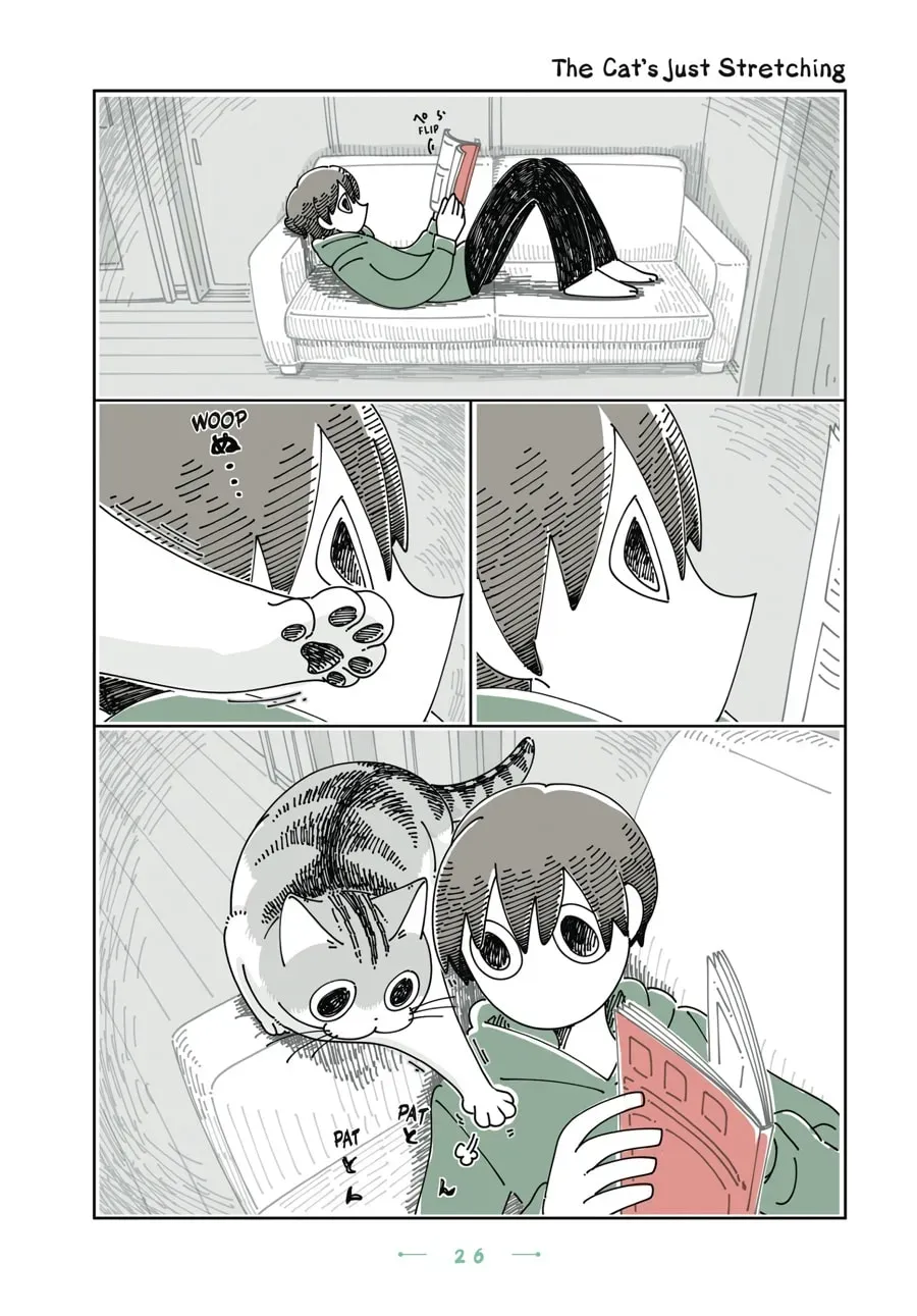 Nights With a Cat Chapter 139 page 1 - 