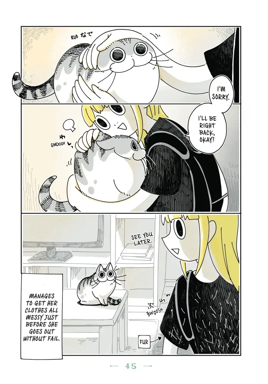Nights With a Cat Chapter 14.1 page 2 - 
