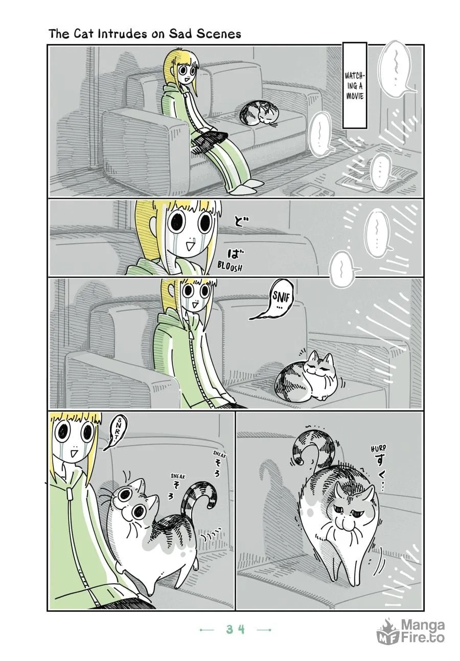Nights With a Cat Chapter 14 page 12 - 