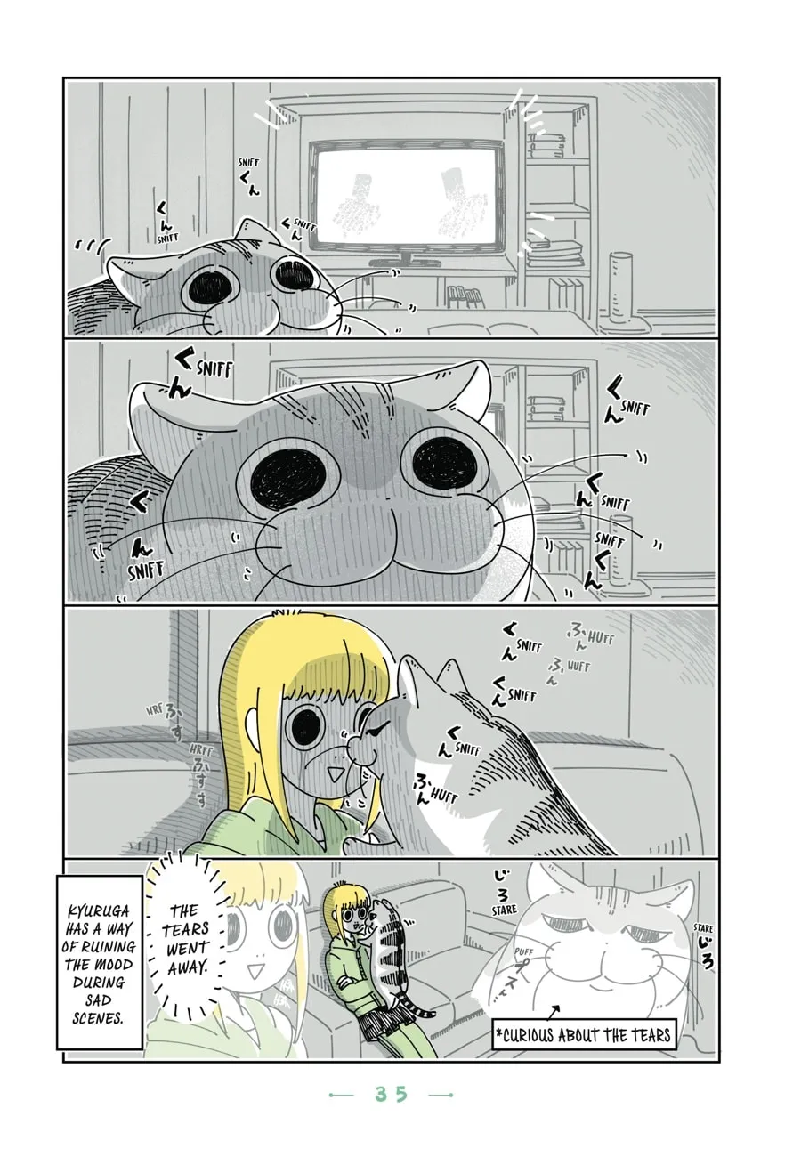 Nights With a Cat Chapter 14 page 13 - 