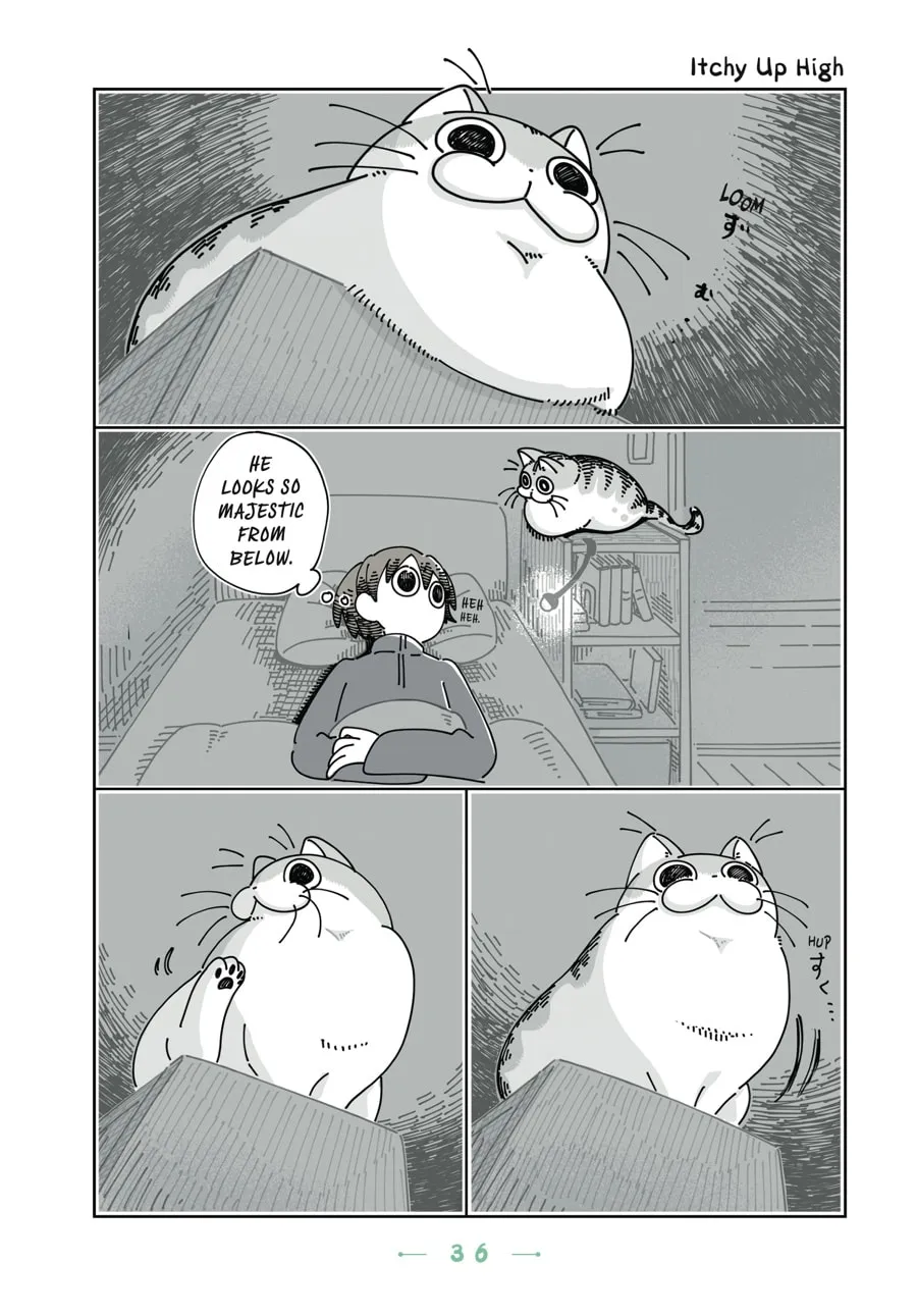Nights With a Cat Chapter 14 page 14 - 