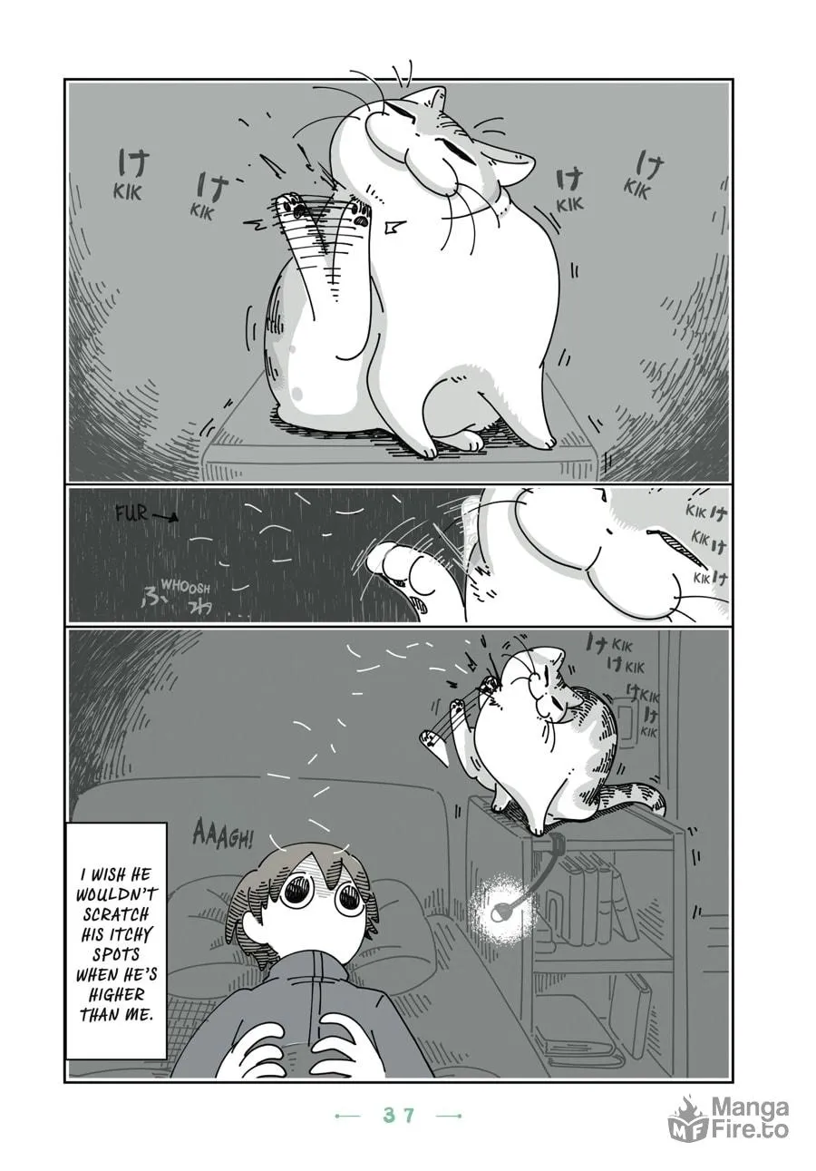 Nights With a Cat Chapter 14 page 15 - 