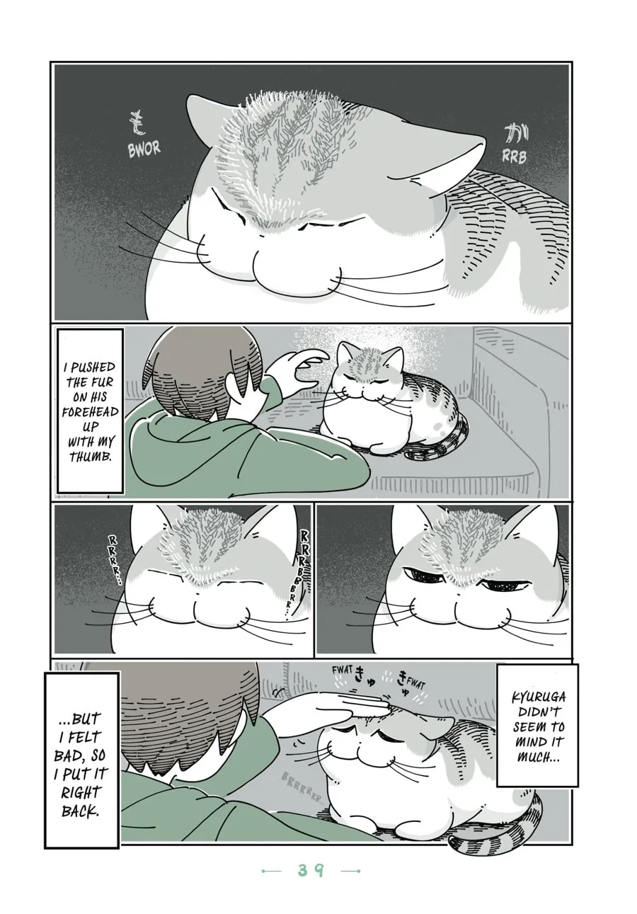 Nights With a Cat Chapter 14 page 17 - 