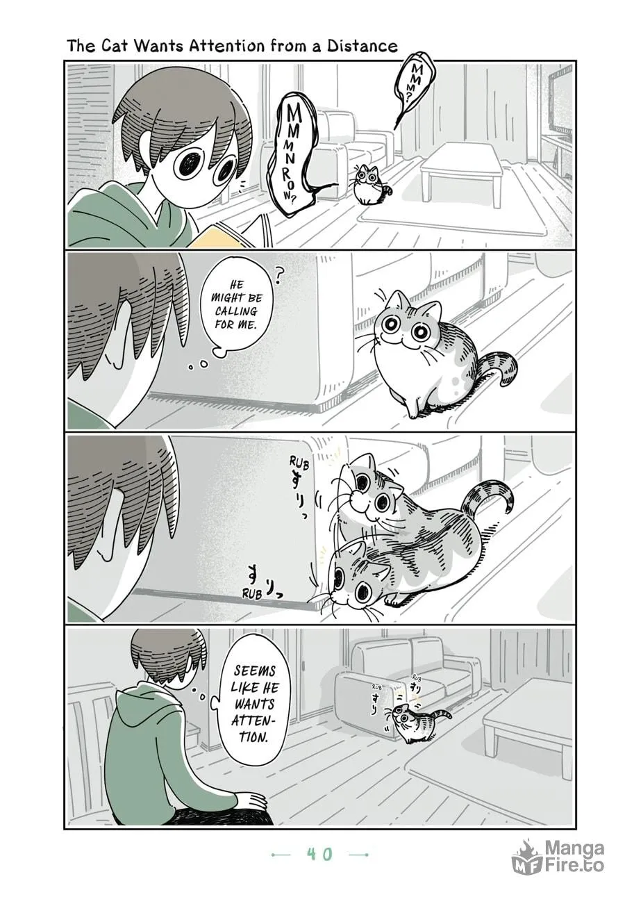 Nights With a Cat Chapter 14 page 18 - 