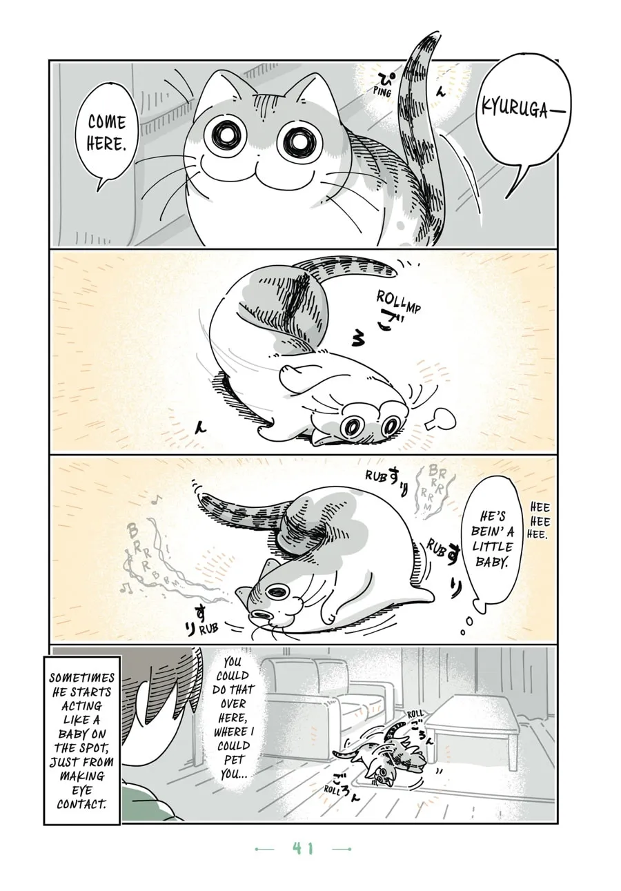 Nights With a Cat Chapter 14 page 19 - 