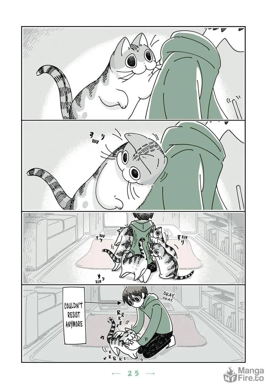 Nights With a Cat Chapter 14 page 3 - 