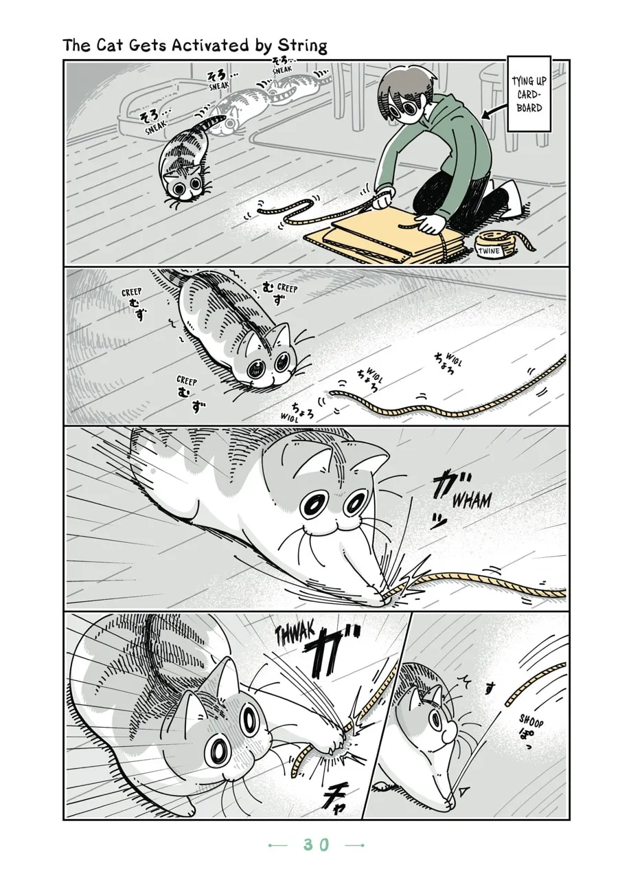 Nights With a Cat Chapter 14 page 8 - 