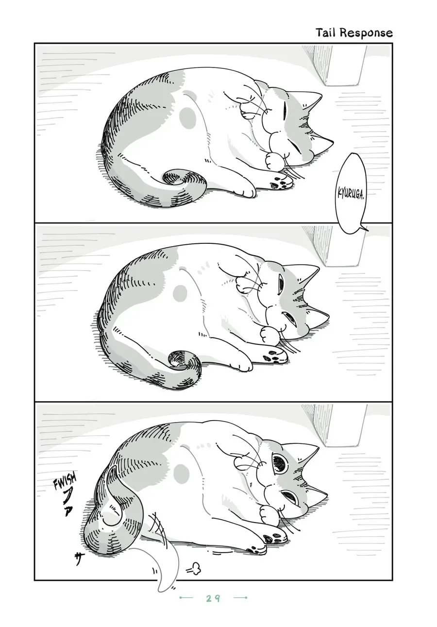 Nights With a Cat Chapter 140 page 1 - 