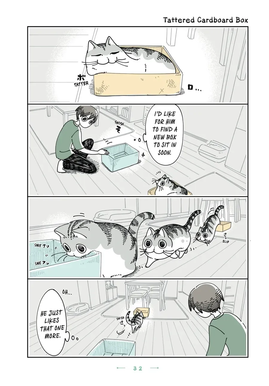 Nights With a Cat Chapter 141 page 1 - 