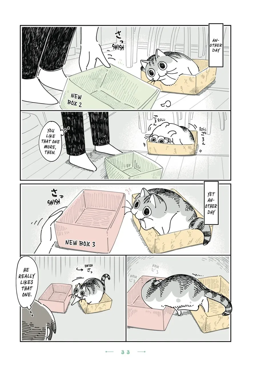 Nights With a Cat Chapter 141 page 2 - 