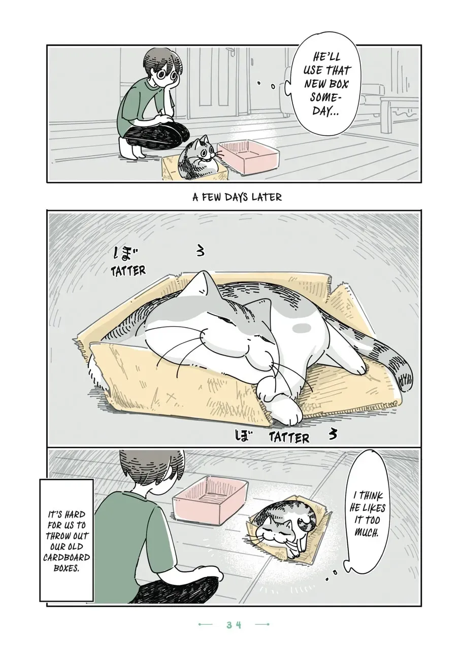 Nights With a Cat Chapter 141 page 3 - 