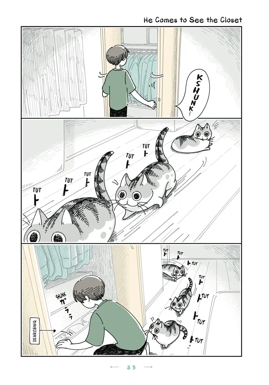 Nights With a Cat Chapter 142 page 1 - 