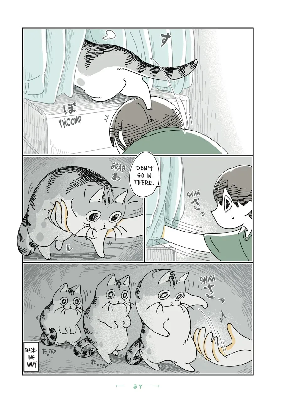 Nights With a Cat Chapter 142 page 3 - 