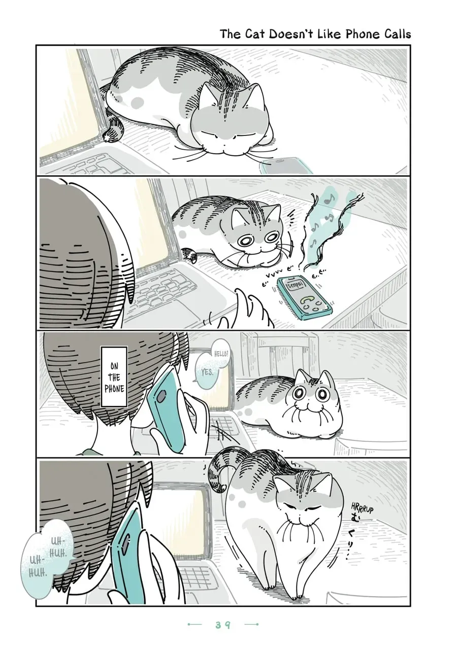 Nights With a Cat Chapter 143 page 1 - 