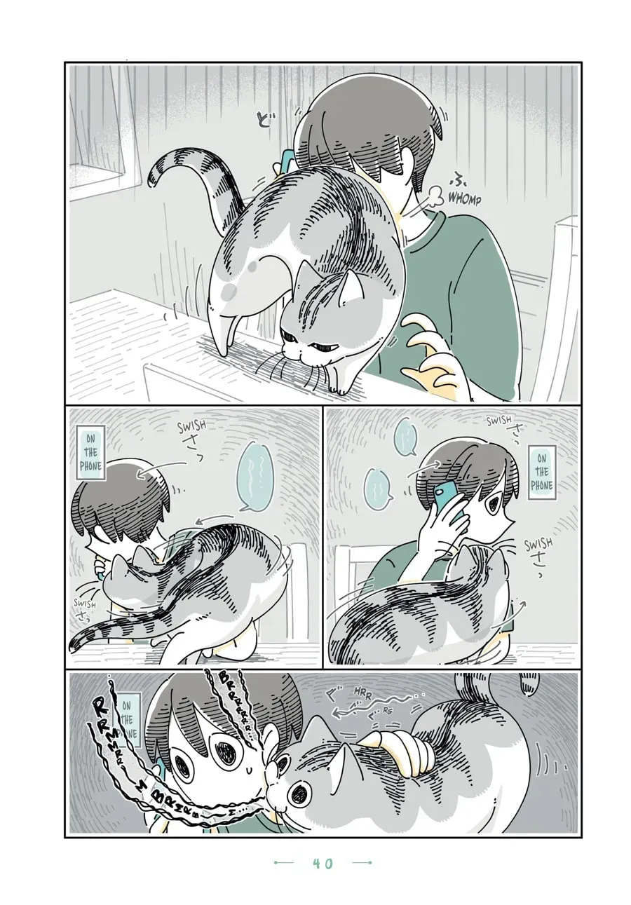 Nights With a Cat Chapter 143 page 2 - 