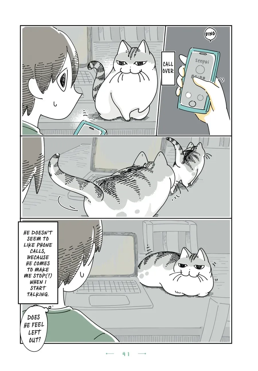 Nights With a Cat Chapter 143 page 3 - 